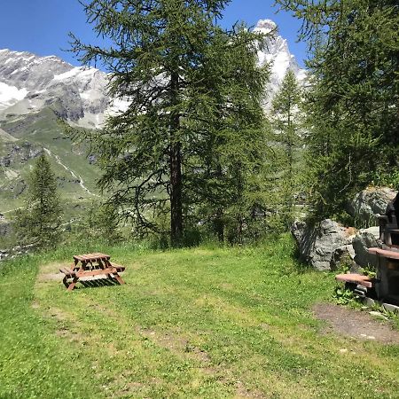 Cozy Studio Apartment Breuil-Cervinia Bagian luar foto